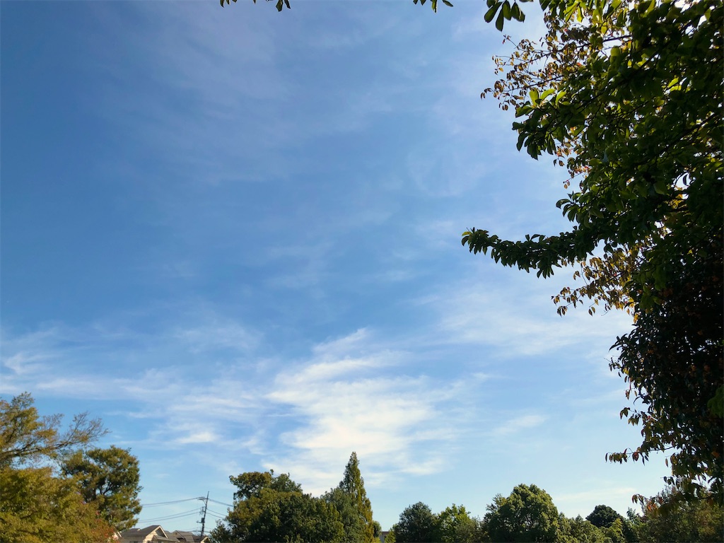 f:id:leica13579:20211006142920j:image