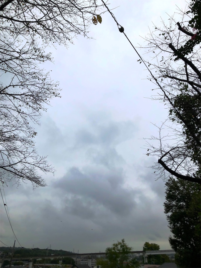 f:id:leica13579:20211007160932j:image