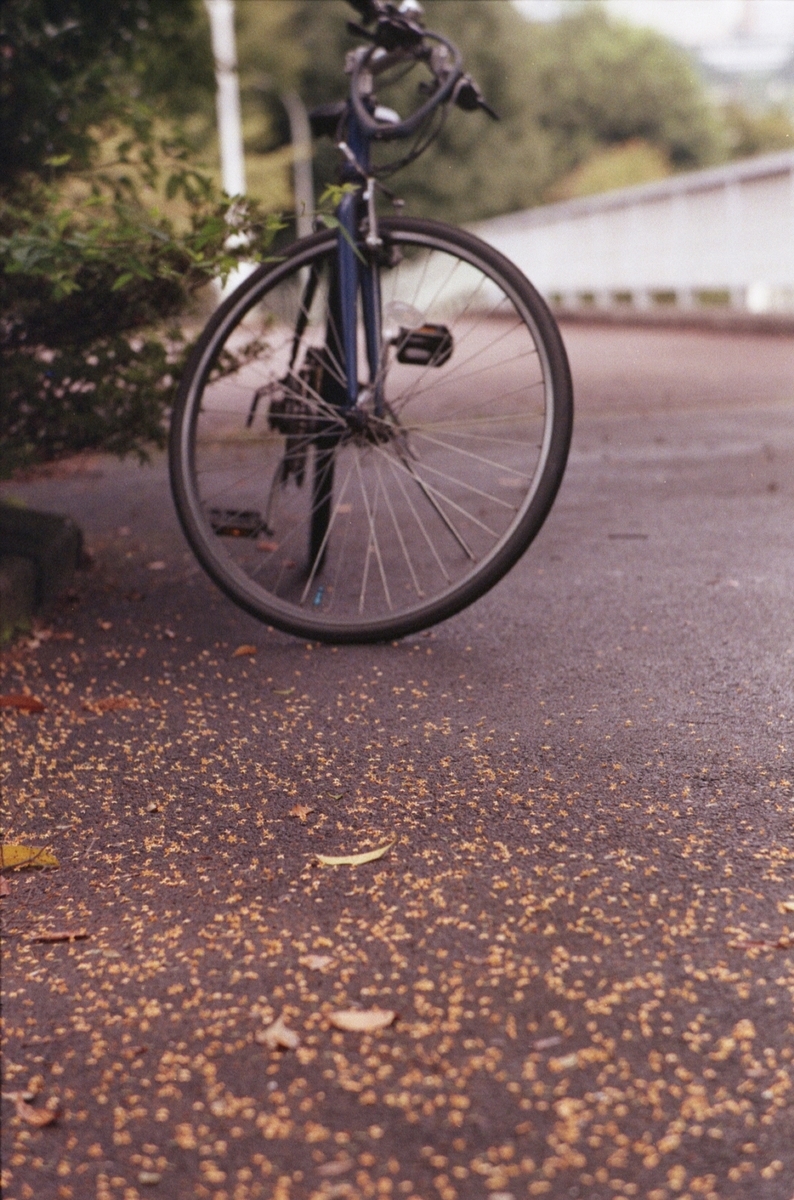 ペンタックスSPにて撮影　カラーネガフィルム　自家現像