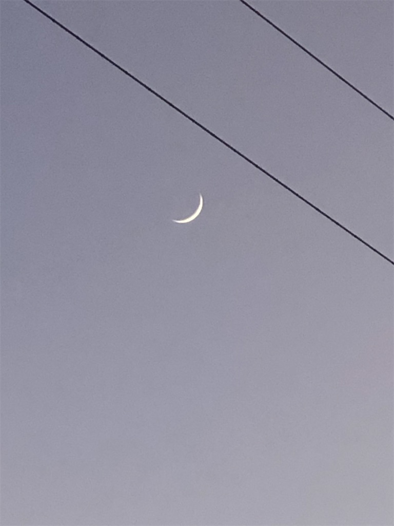 f:id:leica13579:20220105173232j:image