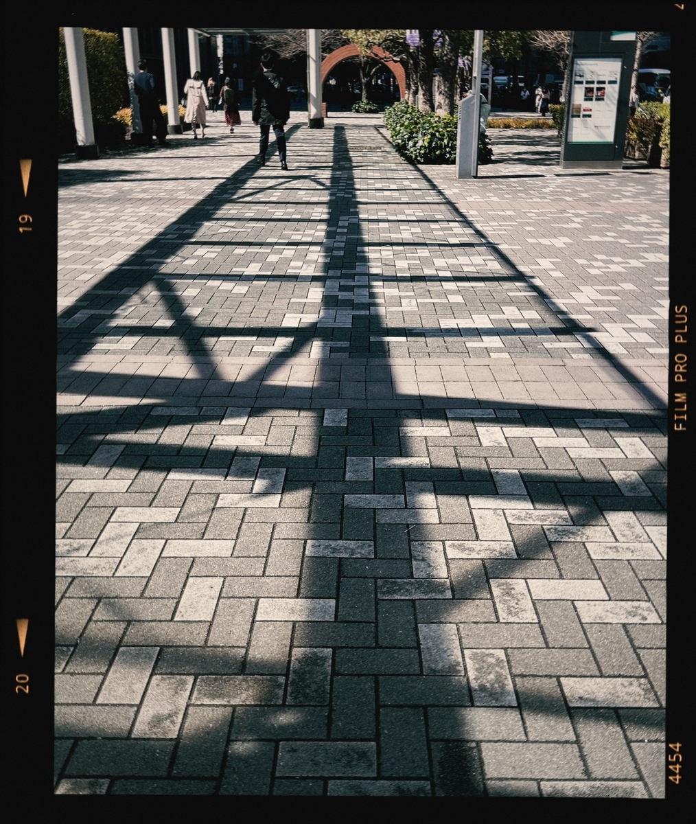 iPhoneにて撮影