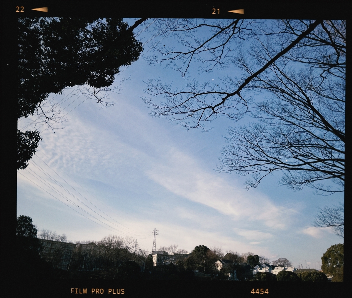 iPhoneにて撮影