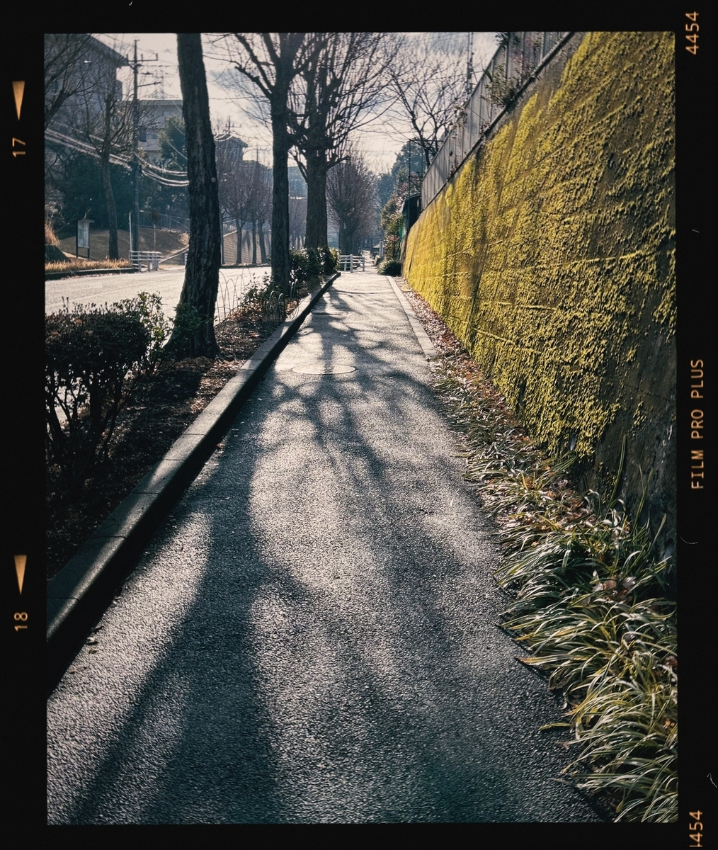 iPhoneにて撮影