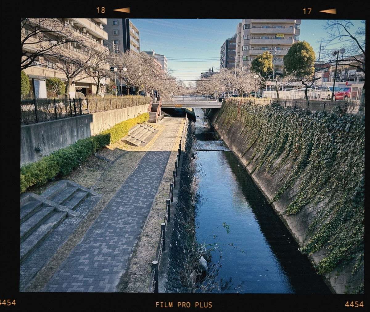 iPhoneにて撮影