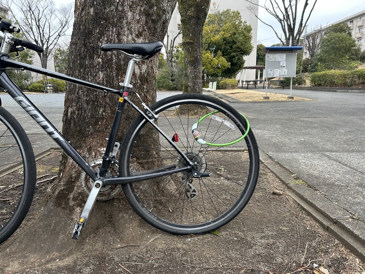 iPhone 14にて撮影