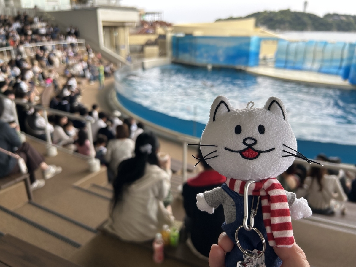 iPhoneにて撮影