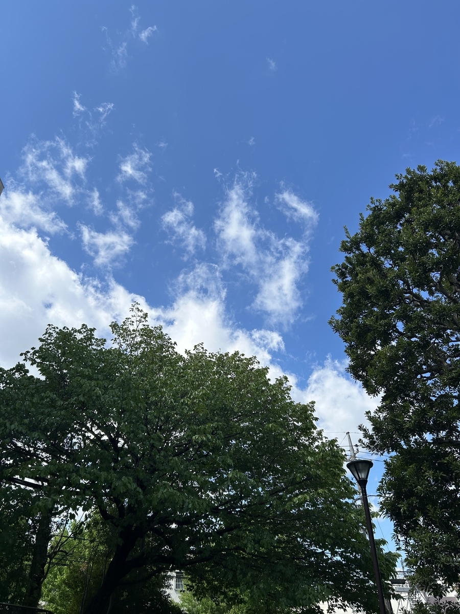 iPhoneにて撮影