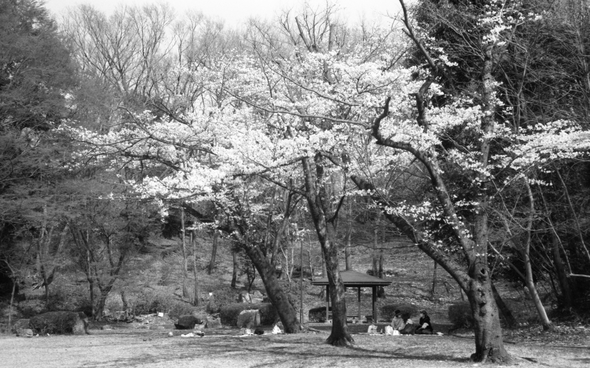 Leica M4にて撮影