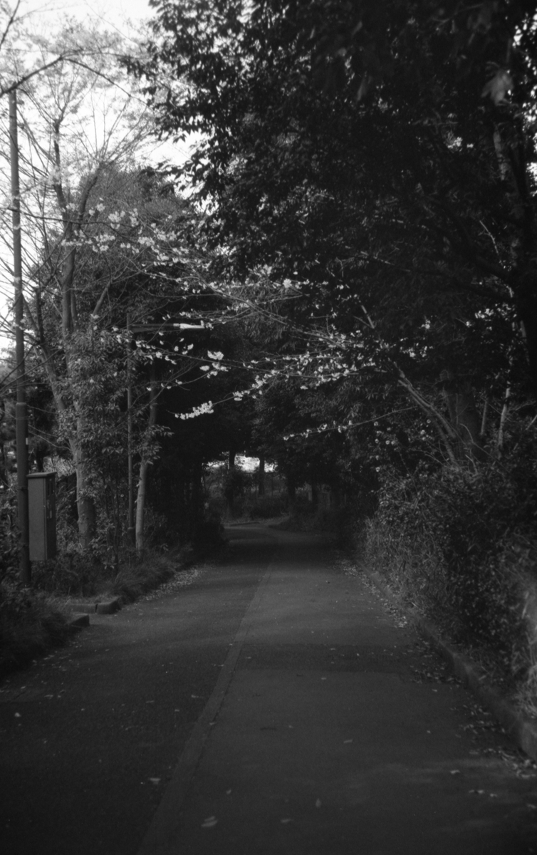 Leica M4にて撮影