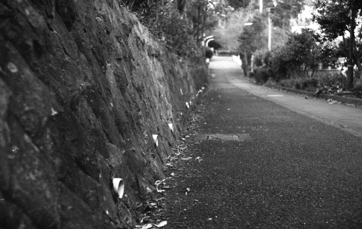 Leica M4にて撮影