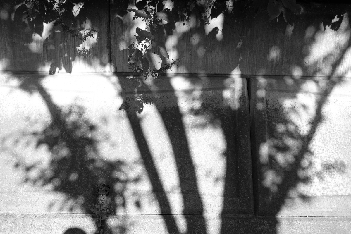 X-E2にて撮影