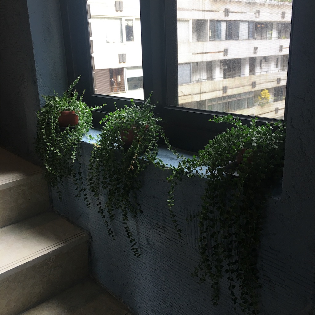 f:id:leifu:20190117193906j:image f:id:leifu:20190117193906j:image
