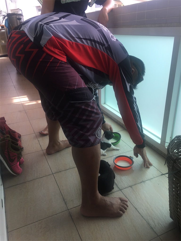 f:id:leifu:20190710221752j:image