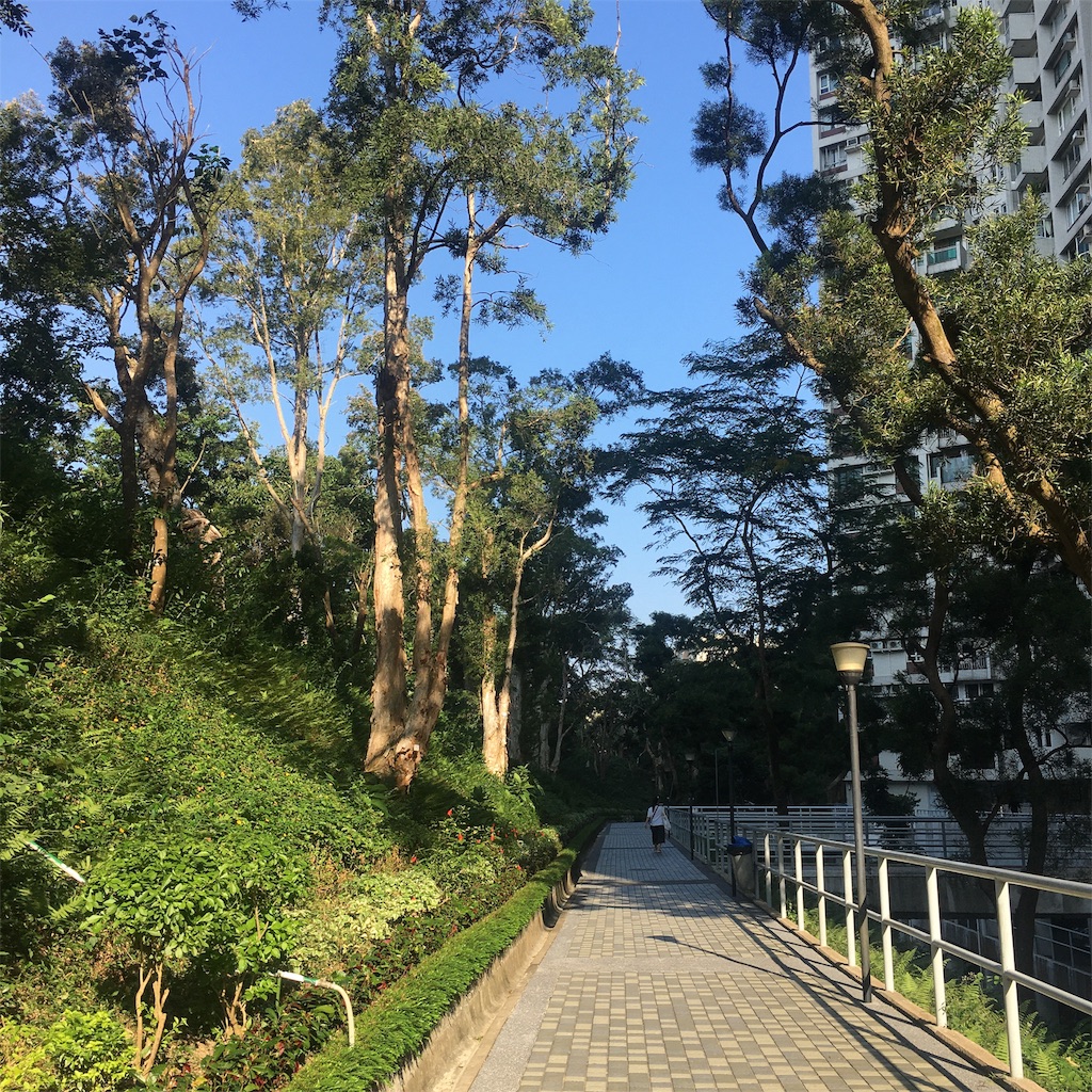 f:id:leifu:20191111144823j:image