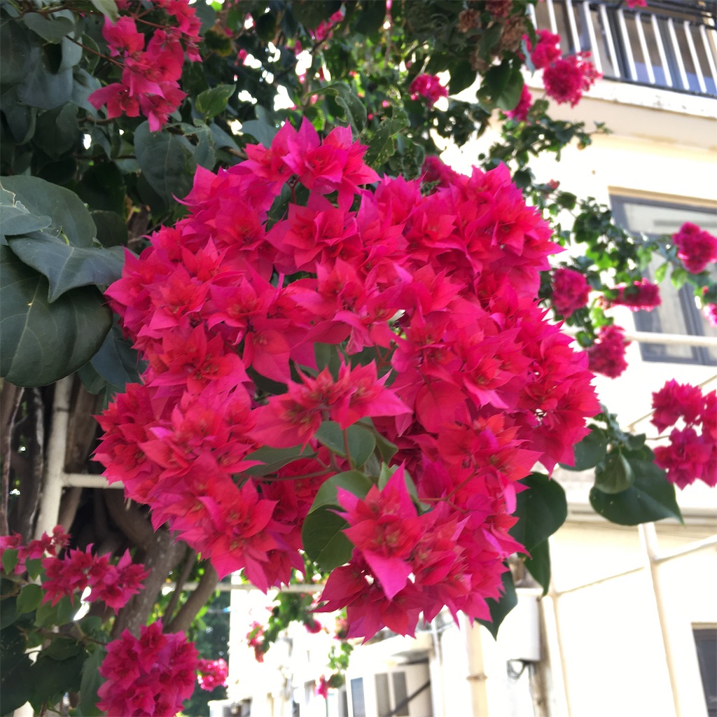 f:id:leifu:20191126111108j:image f:id:leifu:20191126111108j:image