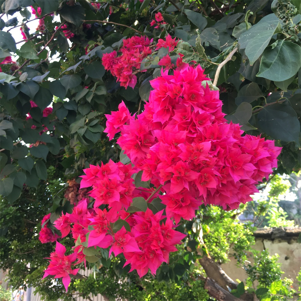 f:id:leifu:20191126111128j:image f:id:leifu:20191126111128j:image