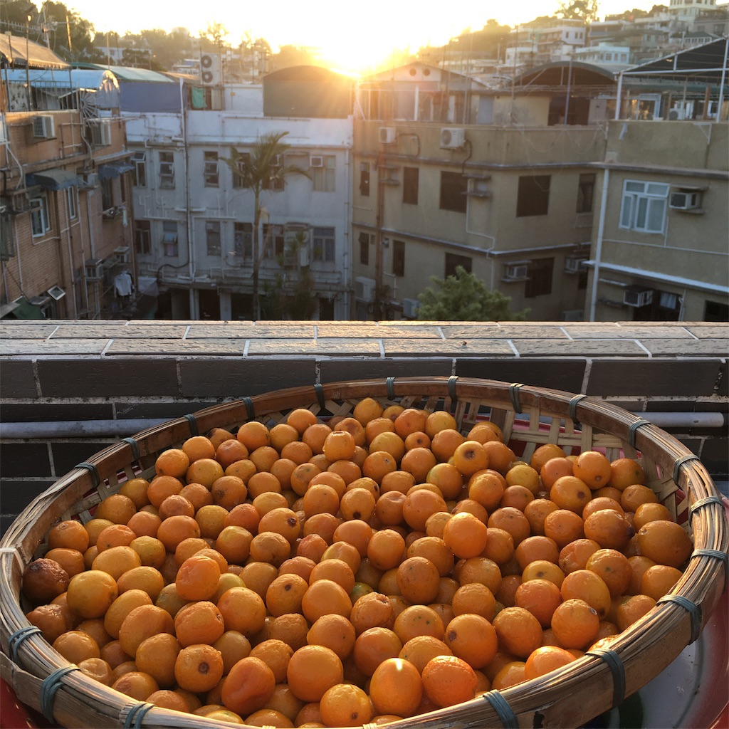 f:id:leifu:20191126203354j:image f:id:leifu:20191126203354j:image