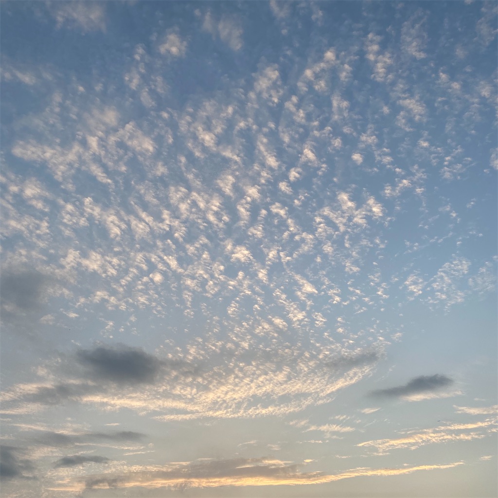 f:id:leifu:20191231121123j:image f:id:leifu:20191231121123j:image