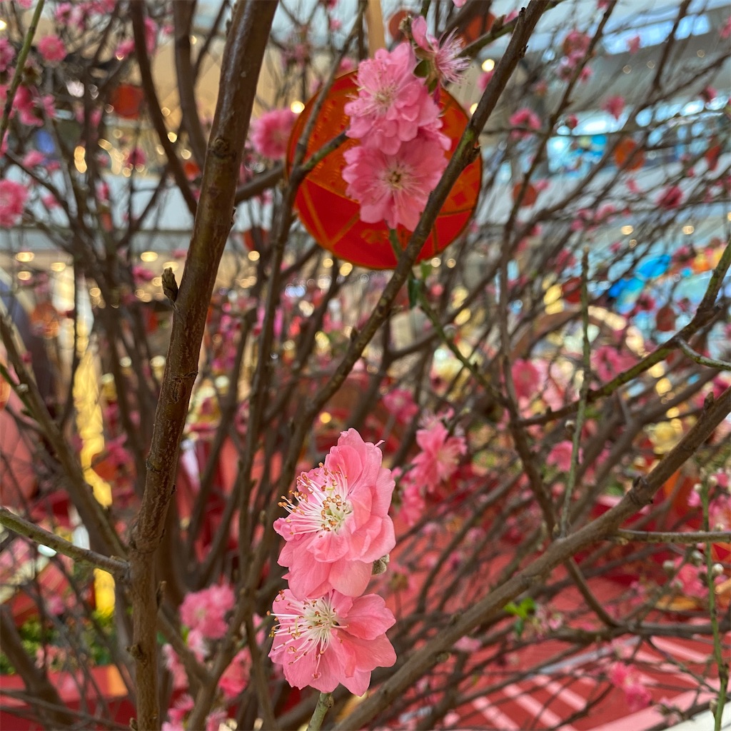 f:id:leifu:20200115114908j:image