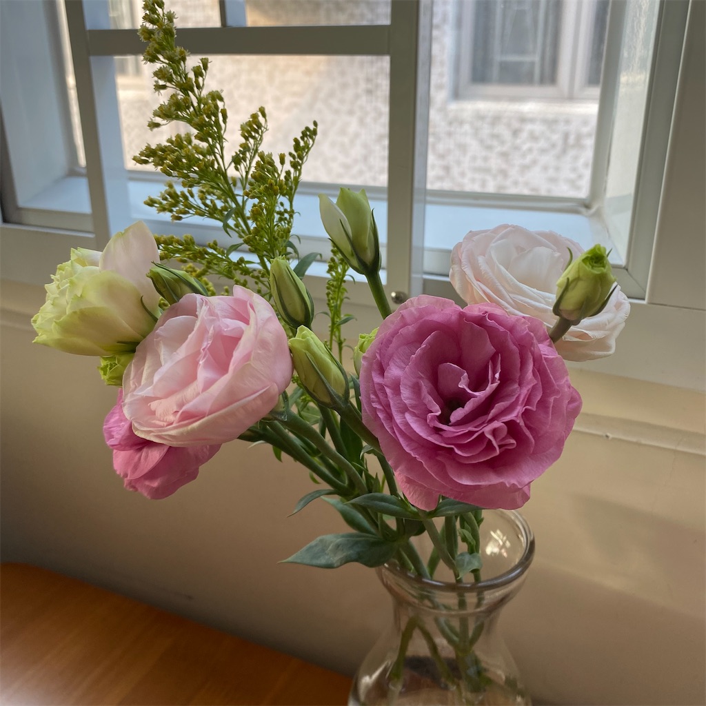 f:id:leifu:20200310180247j:image f:id:leifu:20200310180247j:image