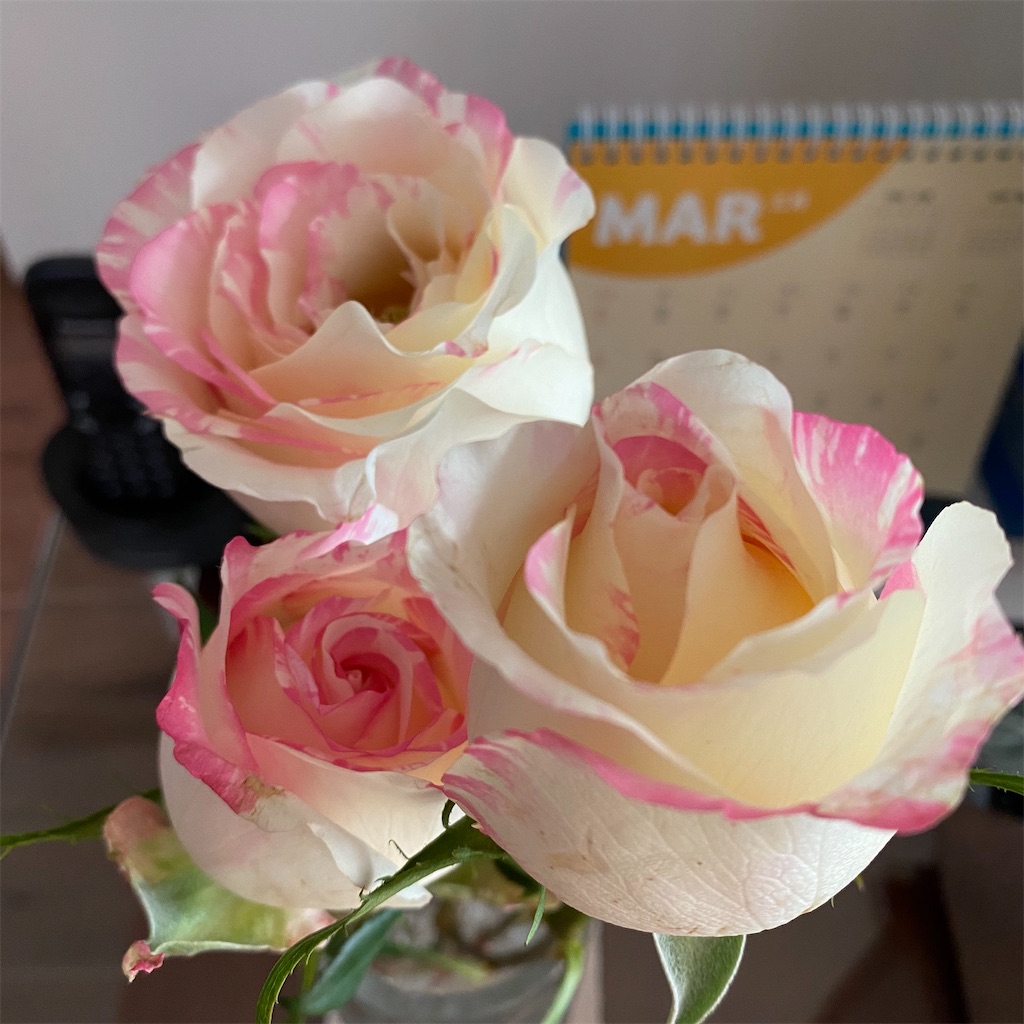 f:id:leifu:20200310180314j:image f:id:leifu:20200310180314j:image