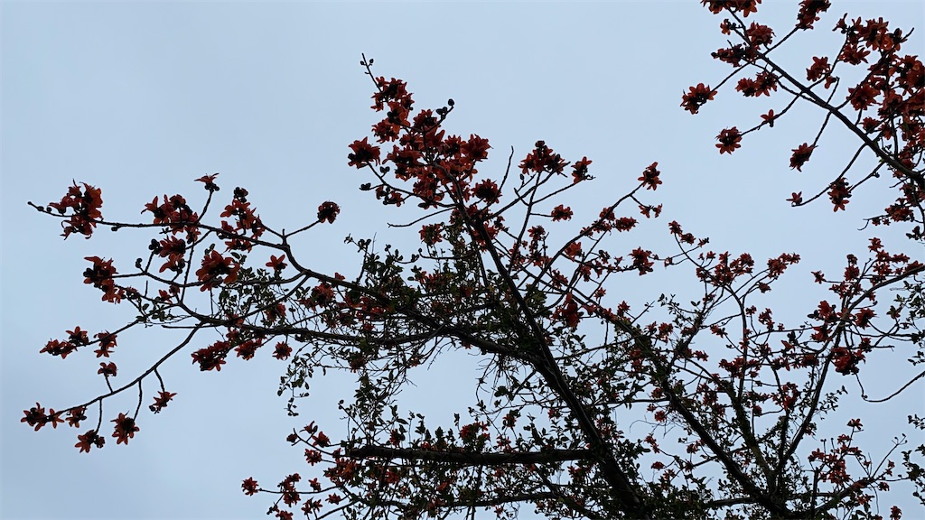 f:id:leifu:20200317111751j:image