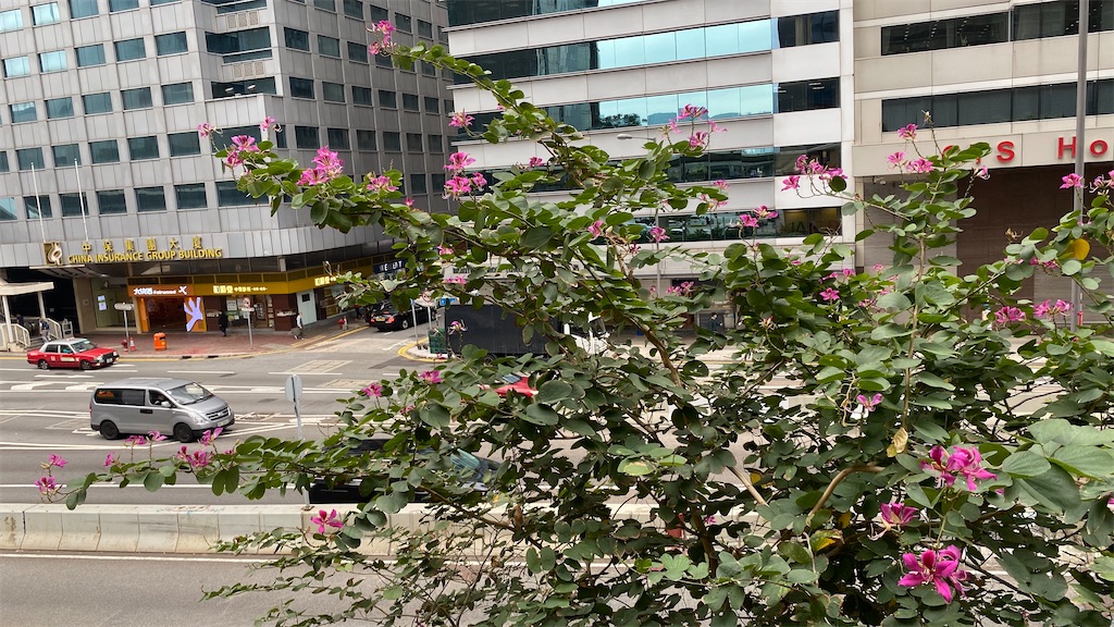 f:id:leifu:20200317122231j:image