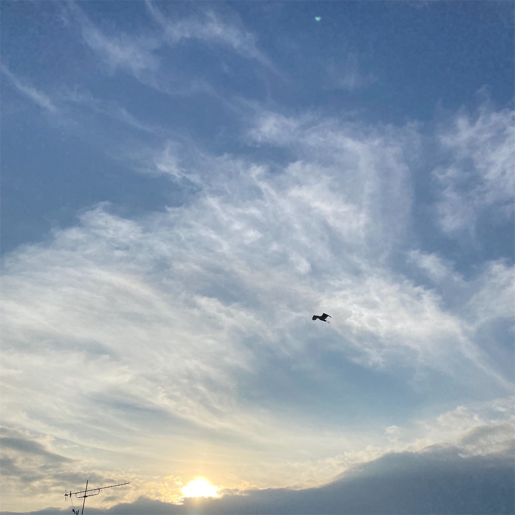 f:id:leifu:20201022102350j:image