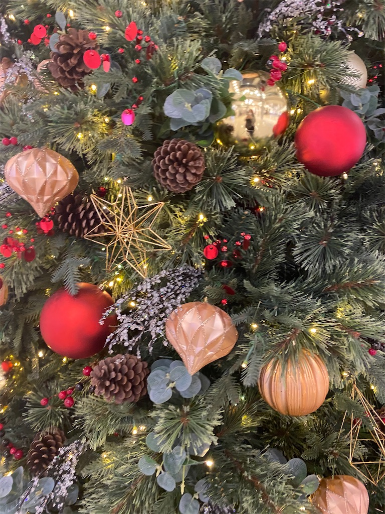 f:id:leifu:20201104144013j:image f:id:leifu:20201104144013j:image