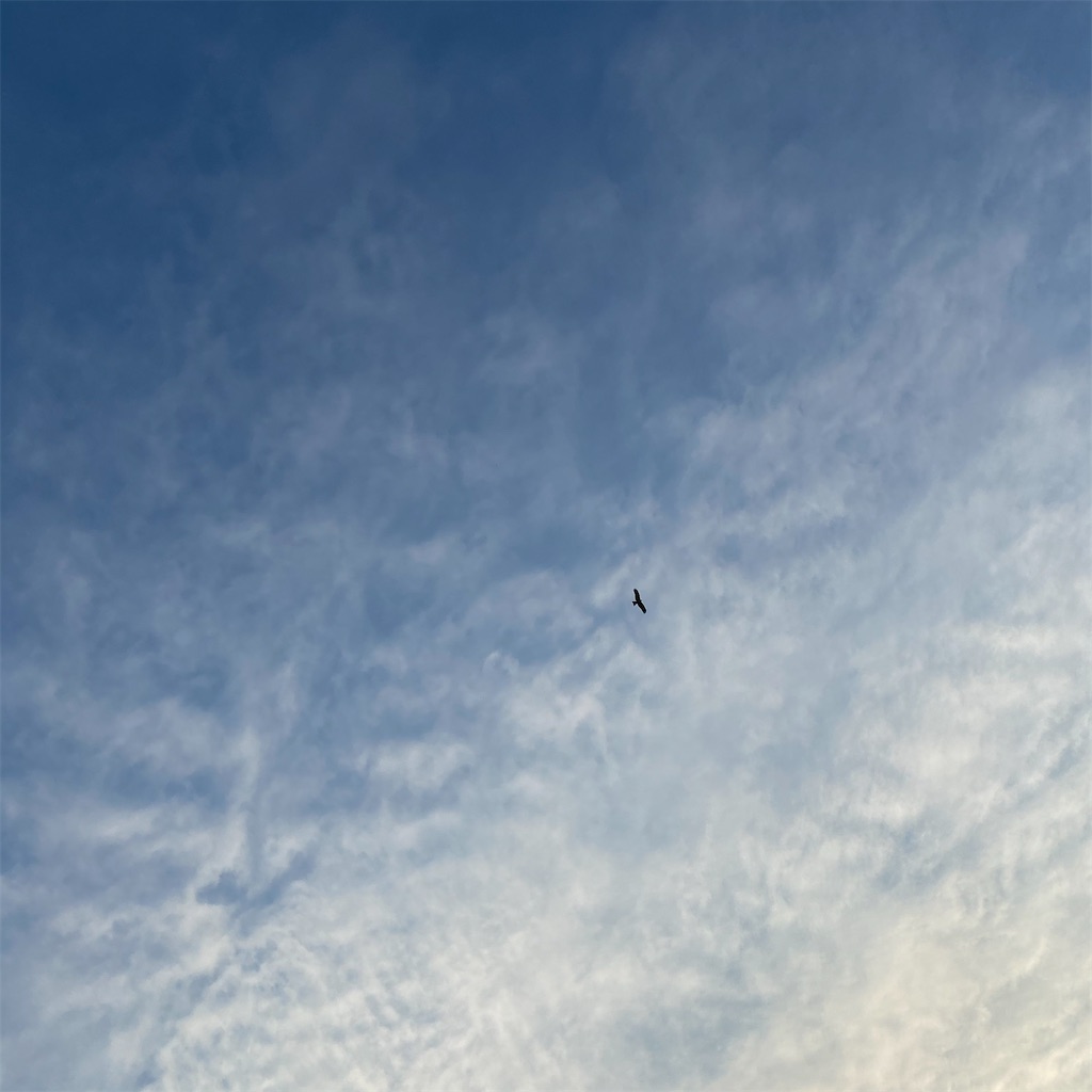 f:id:leifu:20201211085201j:image
