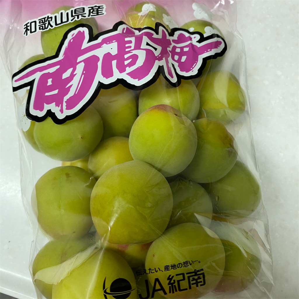 f:id:leifu:20210606234440j:image f:id:leifu:20210606234440j:image
