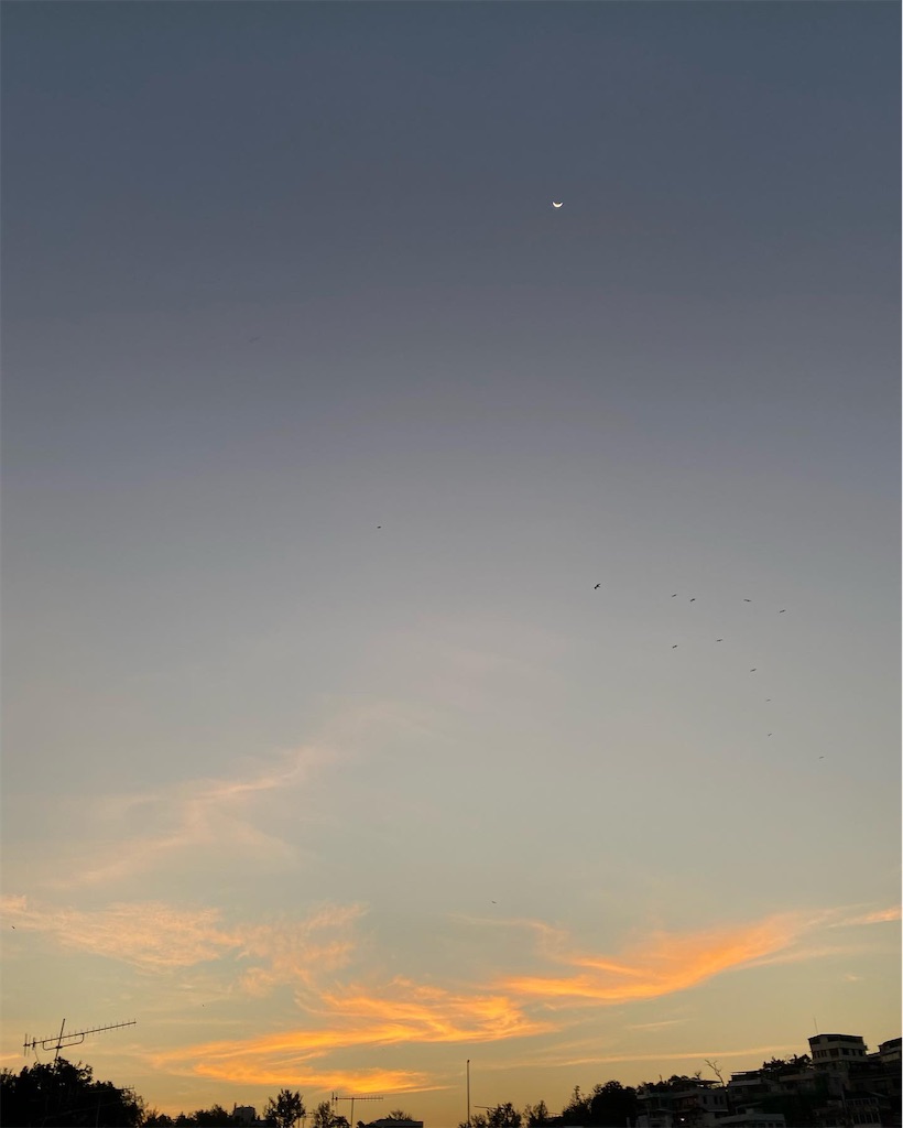 f:id:leifu:20211130122059j:image