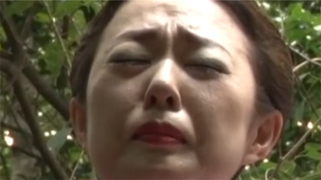 f:id:leika9494:20161030081731p:plain