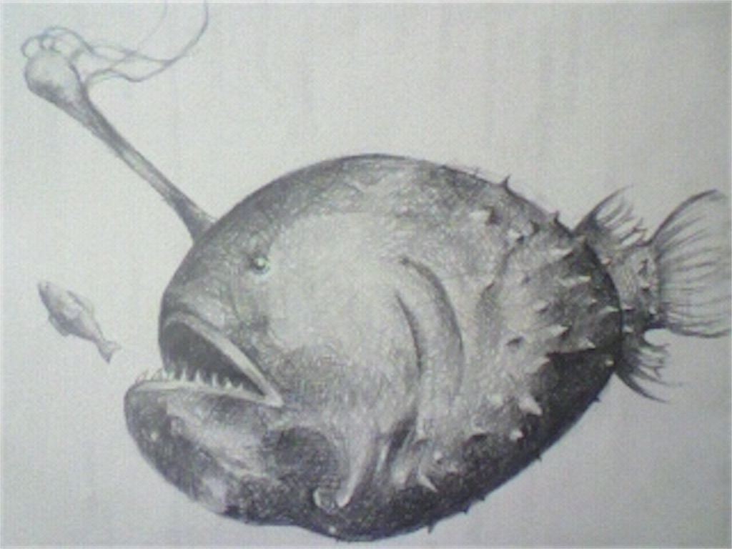 f:id:leika9494:20170105112412j:image