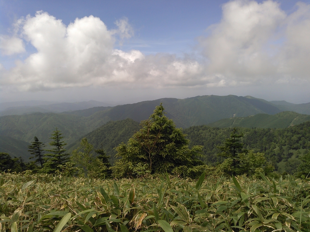 f:id:leisuresmartlife:20201115184646j:plain