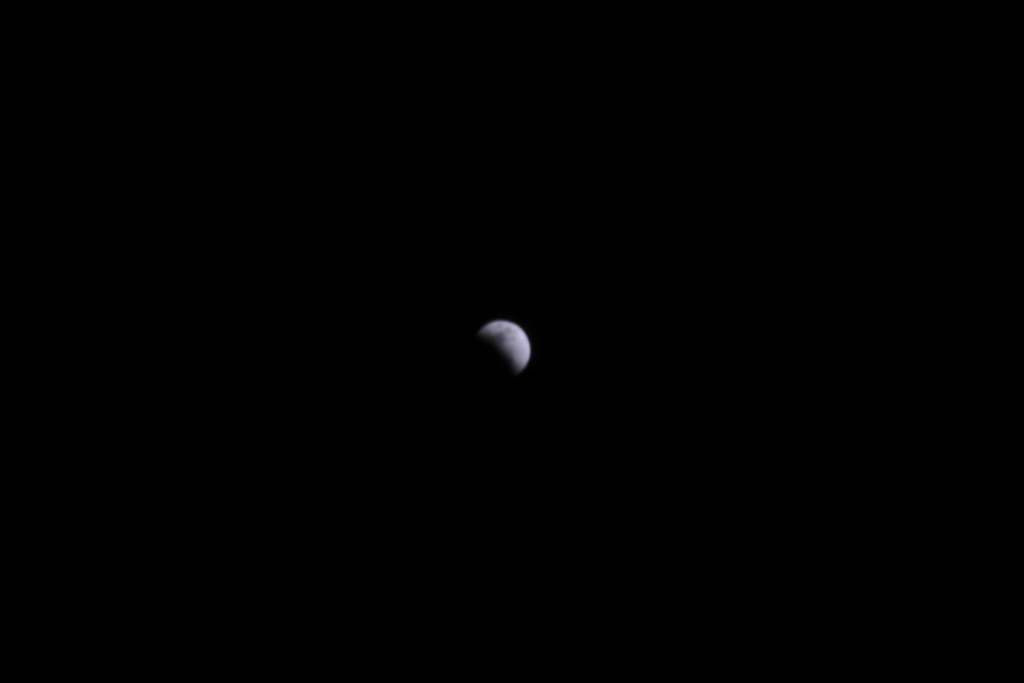f:id:leiurus:20180201031156j:plain f:id:leiurus:20180201031156j:plain