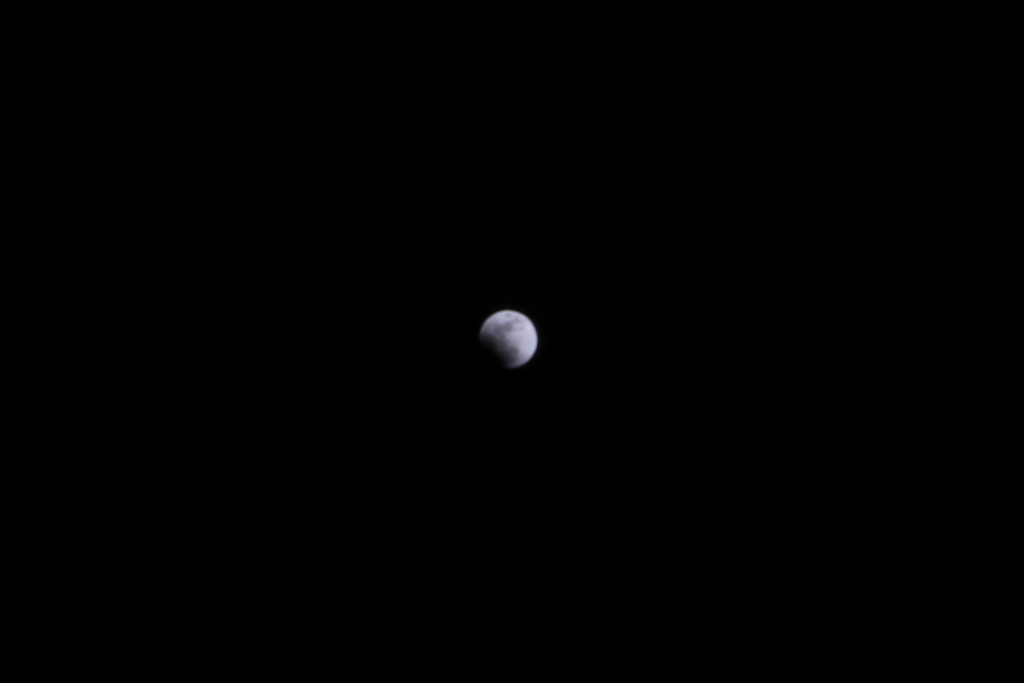 f:id:leiurus:20180201031211j:plain f:id:leiurus:20180201031211j:plain