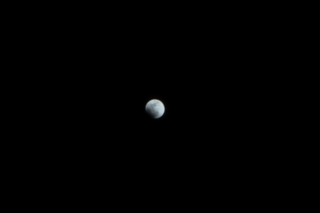 f:id:leiurus:20180201031226j:plain f:id:leiurus:20180201031226j:plain