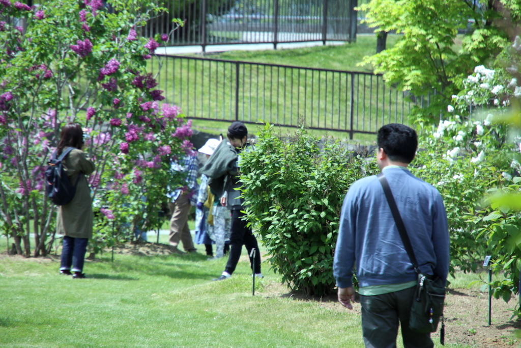 f:id:leiurus:20180527170652j:plain f:id:leiurus:20180527170652j:plain