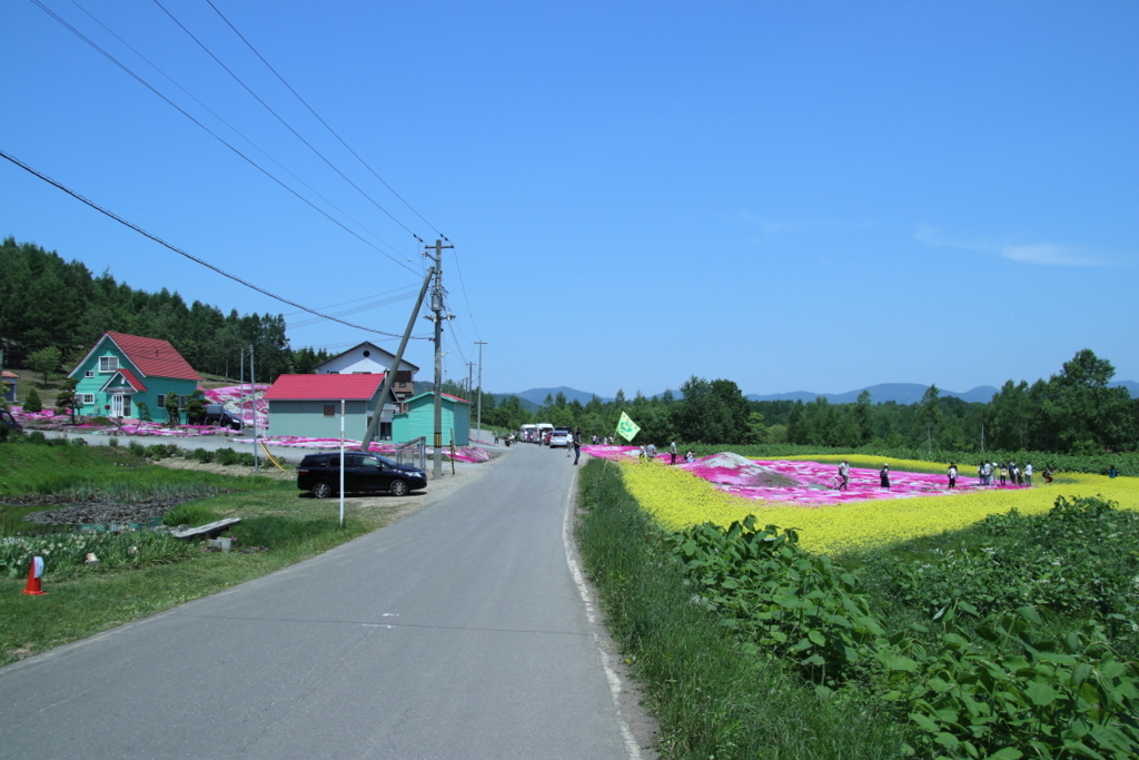 f:id:leiurus:20180606170213j:plain f:id:leiurus:20180606170213j:plain