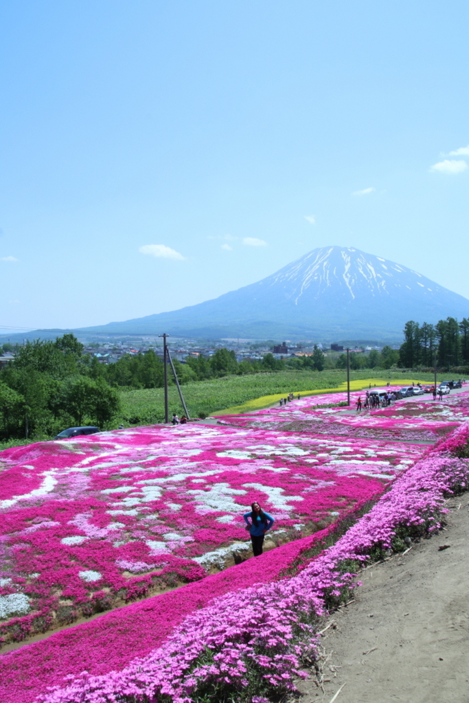 f:id:leiurus:20180606170731j:plain f:id:leiurus:20180606170731j:plain