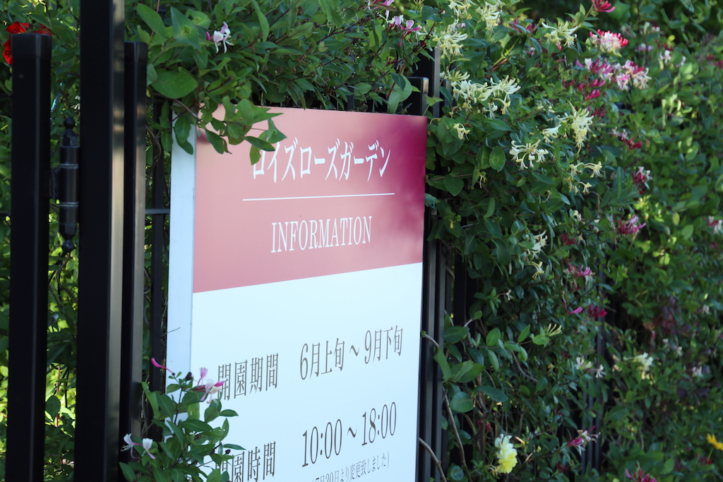 f:id:leiurus:20180724183900j:plain f:id:leiurus:20180724183900j:plain