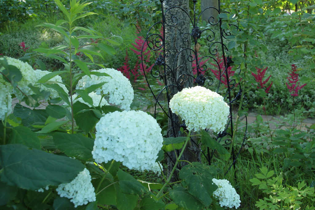 f:id:leiurus:20180724183937j:plain f:id:leiurus:20180724183937j:plain