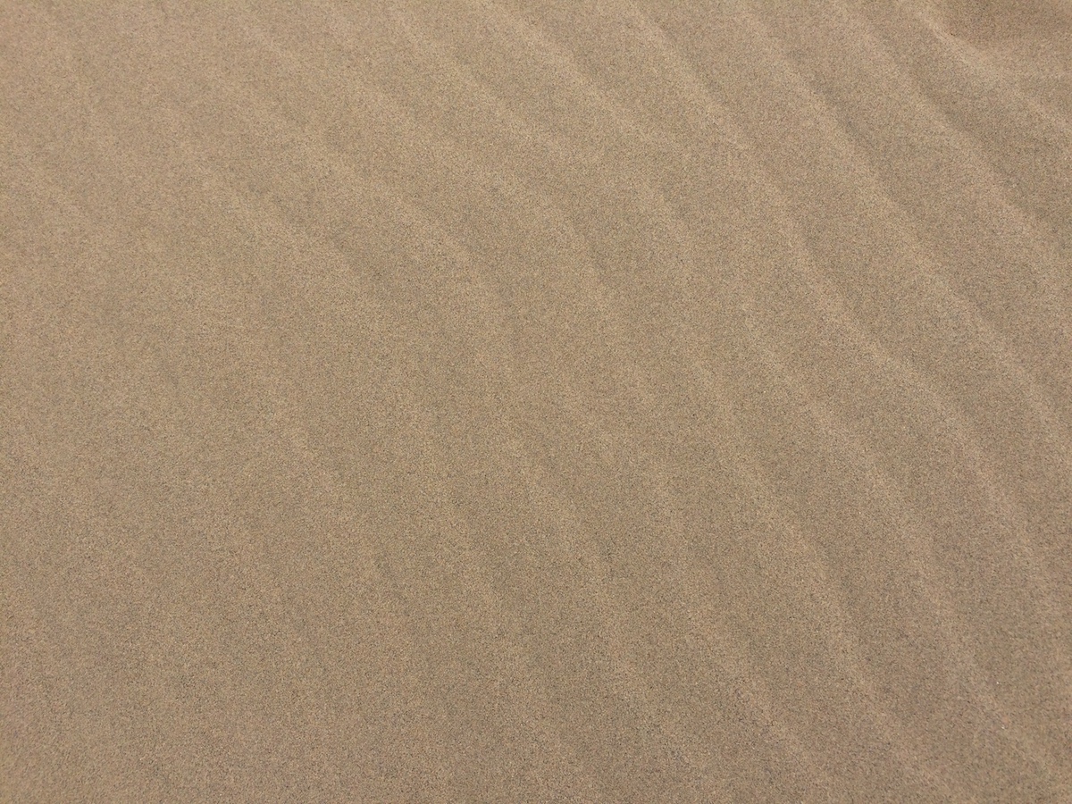 f:id:leiurus:20190324191326j:plain f:id:leiurus:20190324191326j:plain