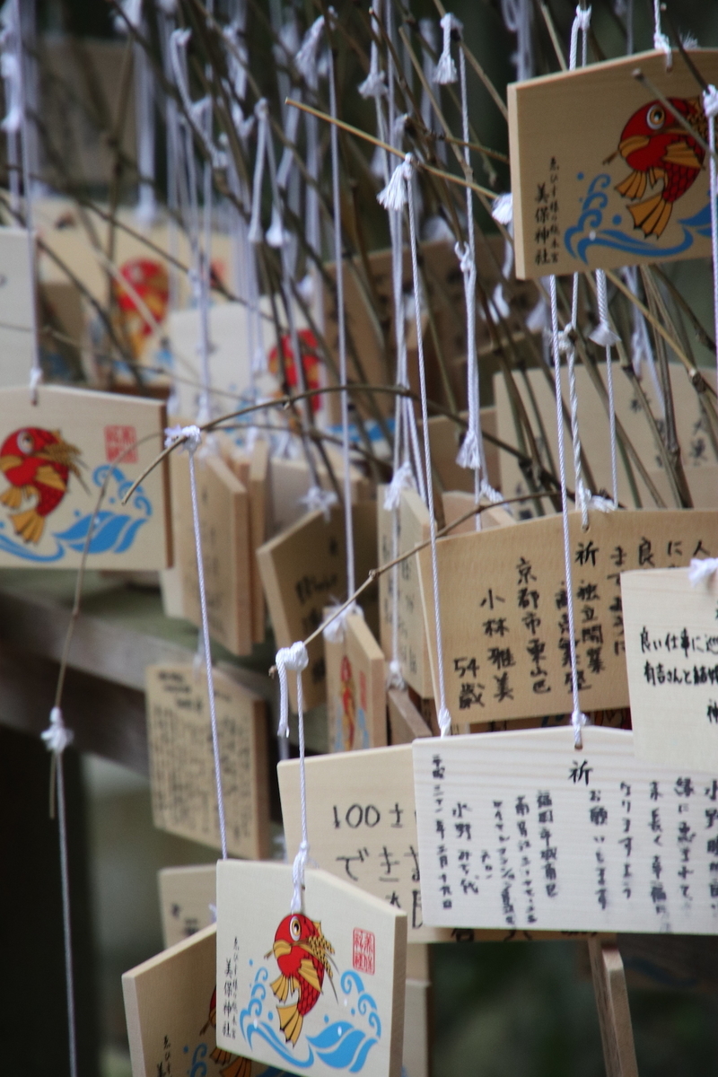f:id:leiurus:20190324191427j:plain f:id:leiurus:20190324191427j:plain