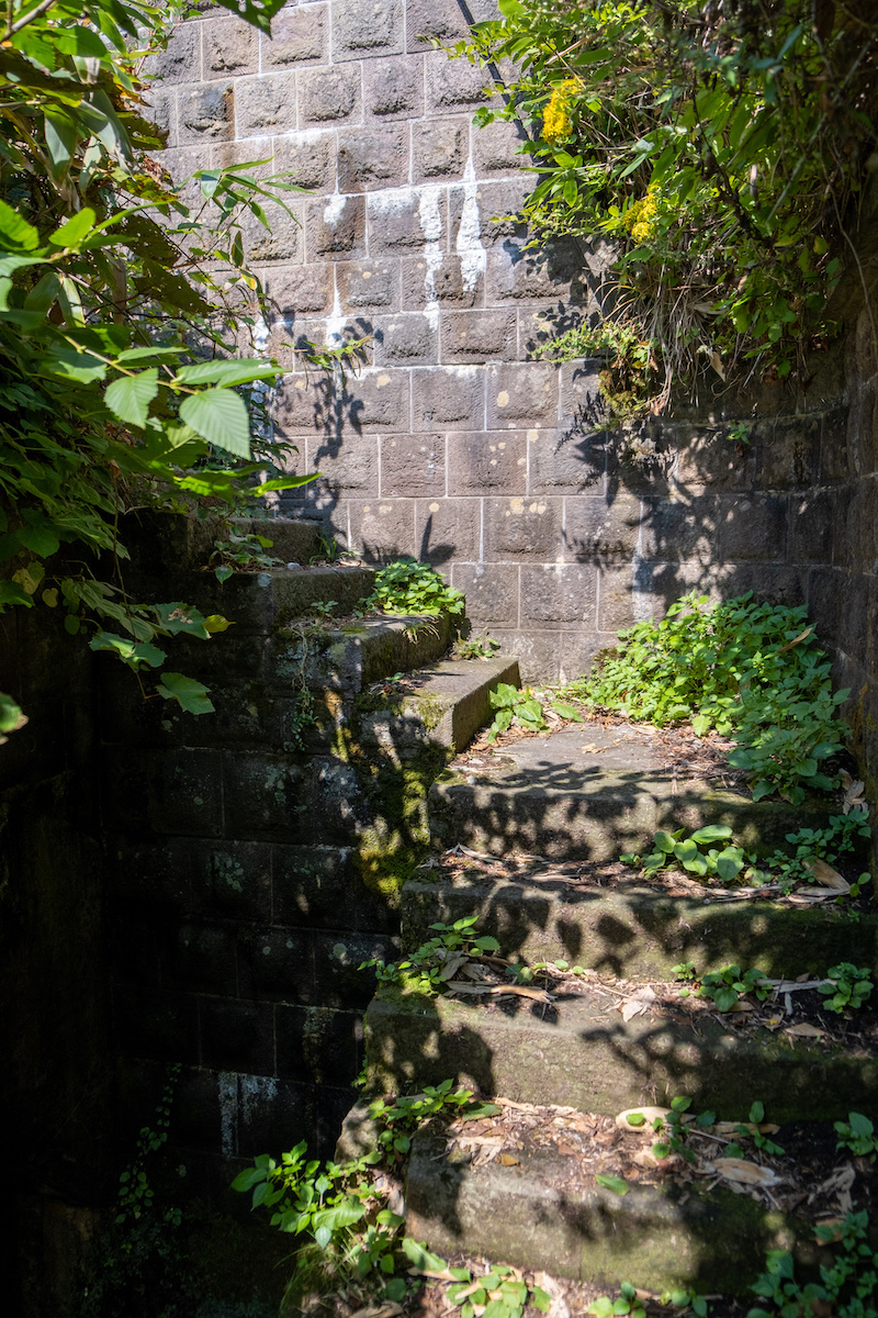 f:id:leiurus:20191003172814j:plain f:id:leiurus:20191003172814j:plain