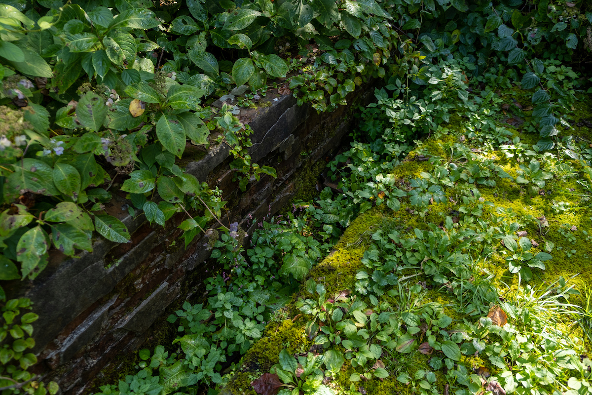 f:id:leiurus:20191003172827j:plain f:id:leiurus:20191003172827j:plain
