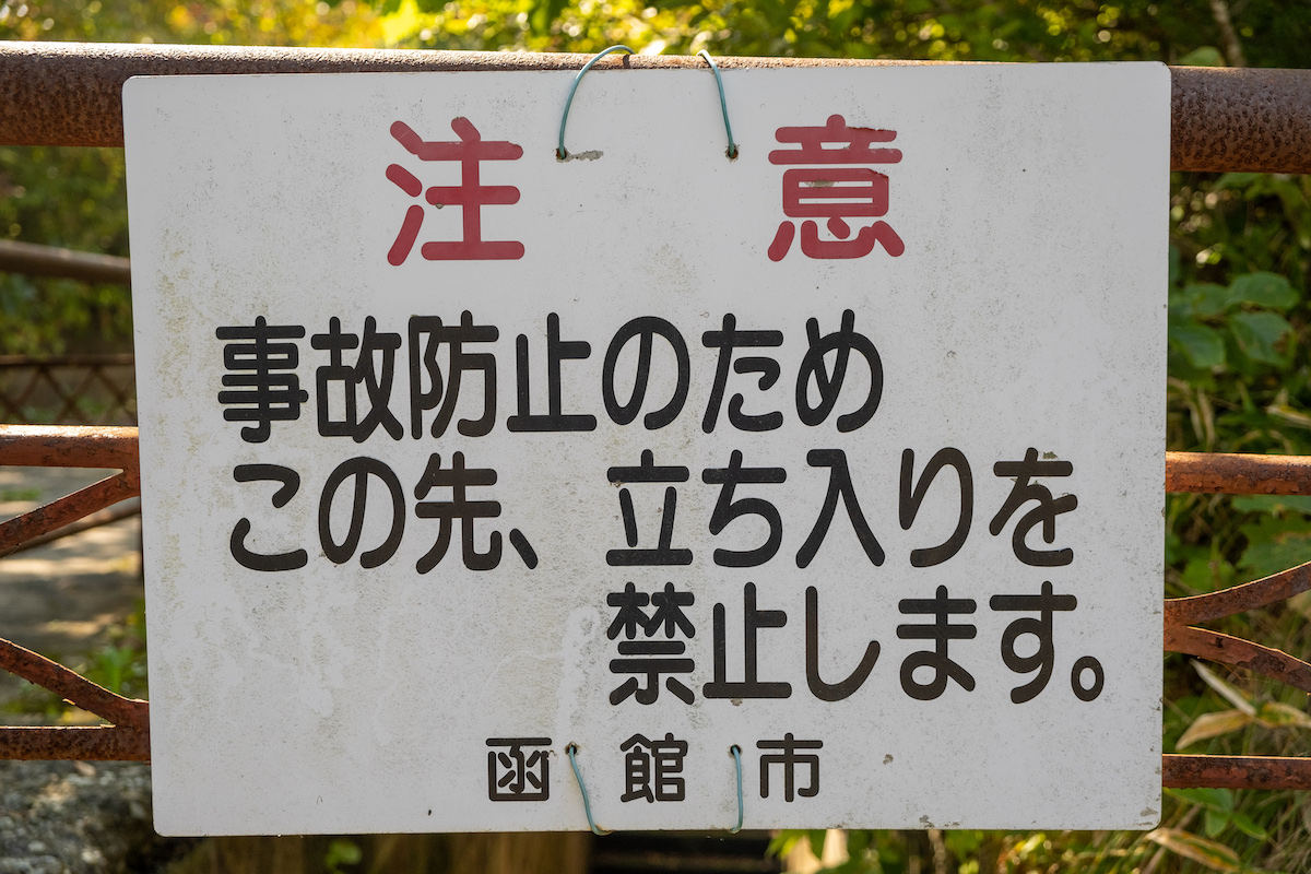 f:id:leiurus:20191003173030j:plain f:id:leiurus:20191003173030j:plain