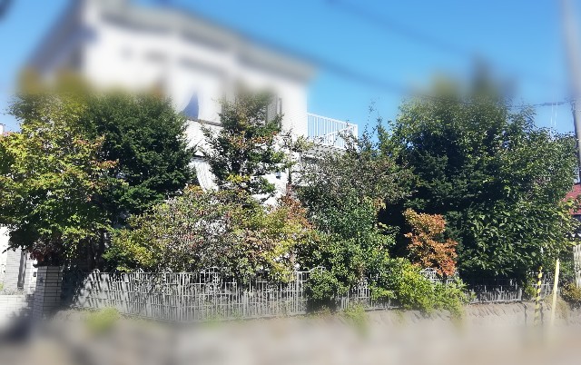 f:id:leleko:20191019113747j:image