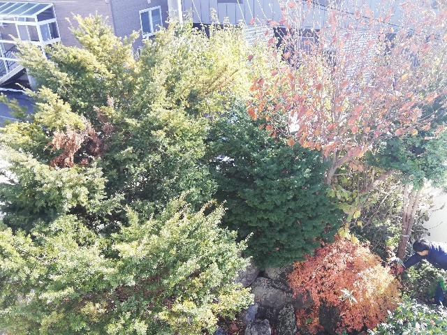 f:id:leleko:20191122191545j:image f:id:leleko:20191122191545j:image